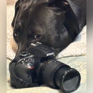 Meet your Posher, Joseph